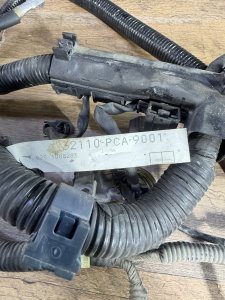Проводка двигателя f20b акпп одновальный lev HONDA TORNEO ACCORD OEM 32110-PCA-N61 CF3 CF4 CF5 CF6 CF7 CL1 CL2 CL3 CH9 1999
